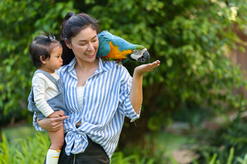 happy mother and daughter feeding blue-and-yellow macaw (Ara ararauna) bird on hand © geargodz