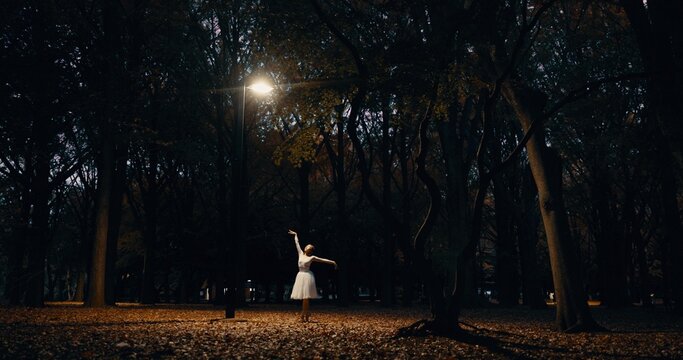 Ballet, dance and woman outdoor at night in Japan with street light, trees and creative art. Ballerina, performance and talent in dark Kyoto forest, woods or garden with spotlight in nature or park - Powered by Adobe