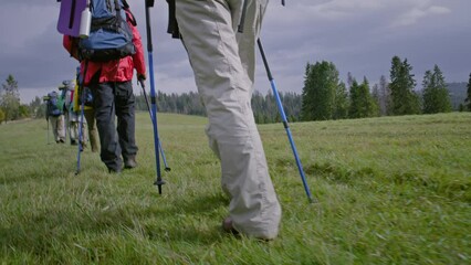 Following shot of travelers group with trekking poles walking along trail in mountains. Hiking buddies discovery amazing nature beauty. Tourism and outdoor activities. Slow motion. Knee level shot.