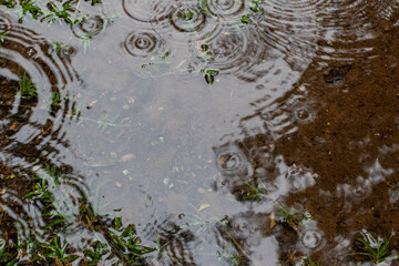Patterns and movement created by rain on the surface of a small puddle outside