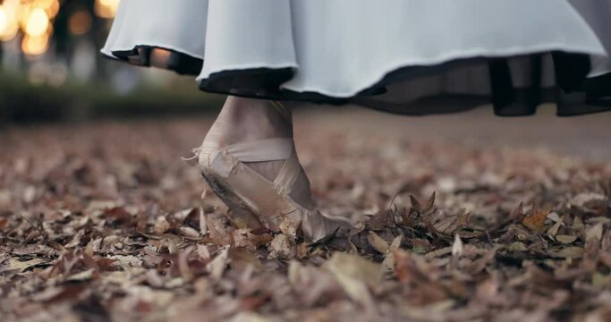 Feet, ballet and outdoor pointe shoes or closeup of creative performance in Japanese garden, leaves or elegant. Toes, autumn and dancing movement in forest or spin in nature for entertainment or art