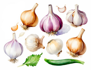 Watercolor painting of onions