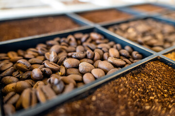 coffee beans close up. Various types of coffee. whole grains and ground coffee on the counter in...