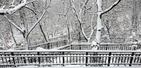 하얀 눈 내리는 겨울 산책로, 아름다운 설경, 서울 봉화산 겨울 풍경 - winter road, snowy winter tree & winter scenery