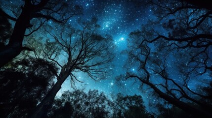 Wide-Angle Shot of a Starry Night Sky