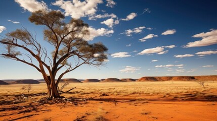 Fototapeta na wymiar featuring the striking beauty of the Australian Outback