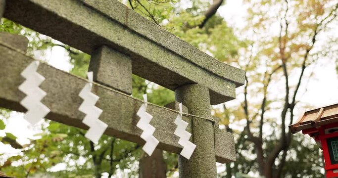 Torii gate, shide and temple in forest in Japan with zen, spiritual history and monument in garden. Nature, trees and Japanese architecture woods with Asian culture, sunshine and stone shrine in park