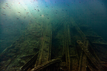 boat wreck underwater scenery sea underwater seabed marine uw fish