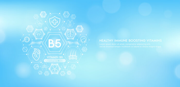 Vitamin B5 or Pantothenic Acid with medical icons. Vitamins minerals from natural essential health skin care body organs healthy. Build immunity antioxidants digestive system. Banner vector EPS10.