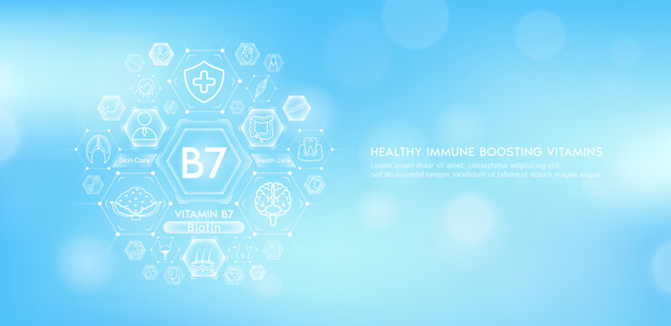 Vitamin B7 or Biotin with medical icons. Vitamins minerals from natural essential health skin care body organs healthy. Build immunity antioxidants digestive system. Banner vector EPS10.
