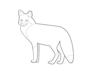 Silhouette, contour, black and white fox. Wild animal. Coloring book for children