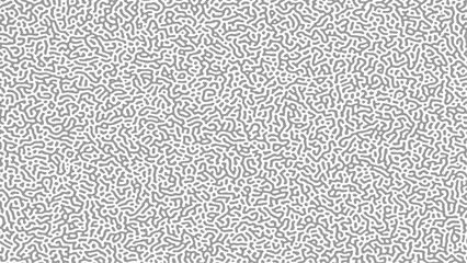 Black and white turing pattern. vector image. Abstract turing organic wallpaper background - obrazy, fototapety, plakaty