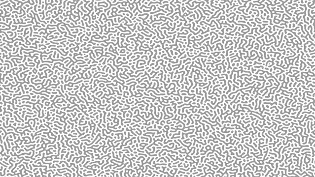 Black and white turing pattern. vector image. Abstract turing organic wallpaper background