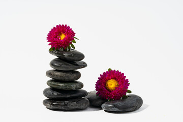 Fototapeta na wymiar Stacked black spa stones with flowers on white background