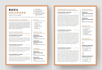Clean And Professional Resume Layout