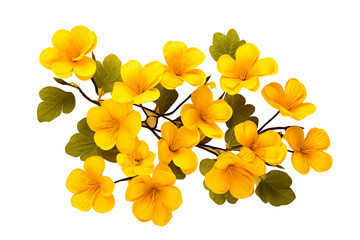 Top side closeup macro view of yellow flowers with leaves, on a white isolated background PNG