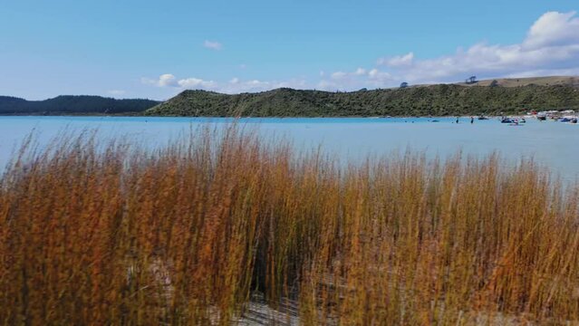 Tourists at Kai Iwi Lakes in summer time in Dargaville, Northland, New Zealand. 