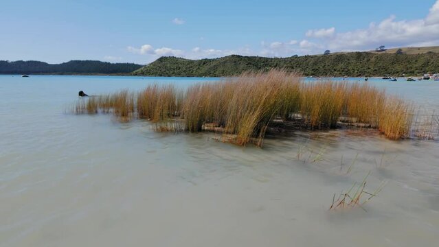 Tourists at Kai Iwi Lakes in summer time in Dargaville, Northland, New Zealand. 
