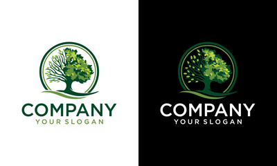 Creative Root Leaf Family Tree of Life Oak Banyan Maple Stamp Seal Emblem Label logo design vector
