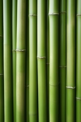 Close-Up of Vibrant Green Bamboo Plant With Detailed Textures and Patterns. Background.