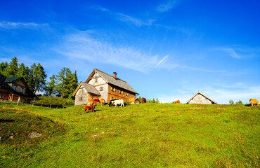 Idyllic landscape with grazing cows and a mountain house on the Tauplitzalm in Austria. Nature on...