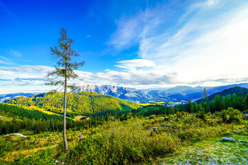 Idyllic landscape with mountains and forests at the Tauplitzalm in Austria. Nature on the Tauplitz in Styria in the Salzkammergut.
