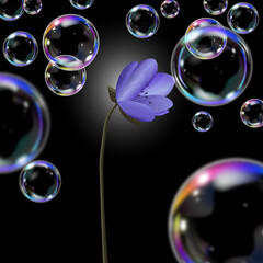 bubbles and flower on black background