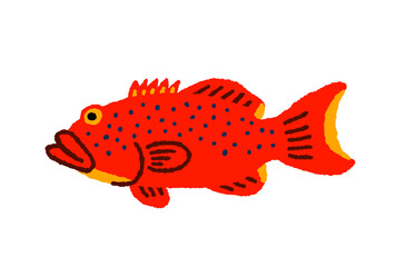 アカジンミーバイ【スジアラ】の手描きイラスト