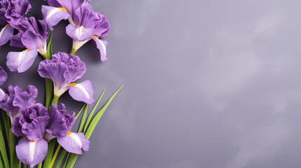 Fototapeta na wymiar Beautiful Iris Flowers Mothers day concept
