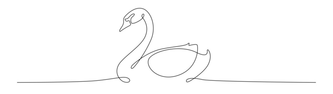 Continuous one line drawing swan. Vector illustration love valentine.