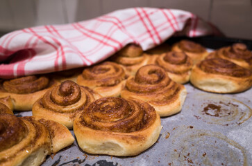 Freshly baked cinnamon rolls on a baking sheet on baking paper with a few buns missing, Swedish traditional pastry kanelbulle