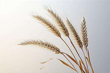 Stylized silhouette of a wheat sheaf.