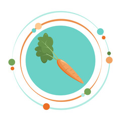 Carrot healthy food and nutrition vector illustration graphic icon