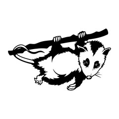 Opossum Stencil - Peeking Animal Cut file, Funny Animal Stencil