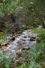 Fototapeta na wymiar bubbling mountain stream with clear water