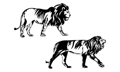 Lion Full Body Vector Graphics Design