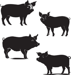 Pig silhouettes set isolated on white background