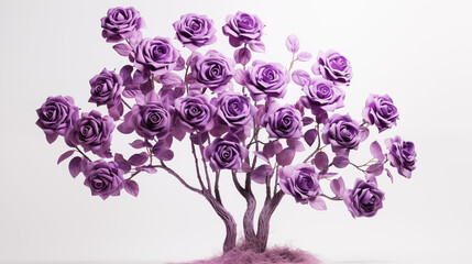 lavender roses tree purple tone on white background