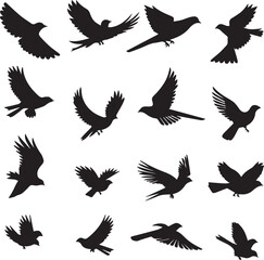 Set of black birds silhouette on white background 