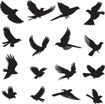 Set of black birds silhouette on white background 