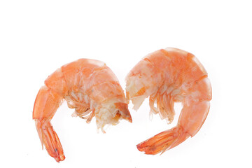 shrimp