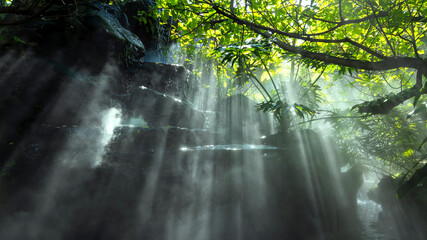 The Tropical jungle with river and sun beam and foggy in the garden.