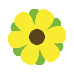 Flower Plants Minimalist