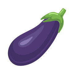 Eggplant. Vector flat clipart isolated on white background.