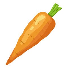 Carrot. Vector flat clipart isolated on white background.