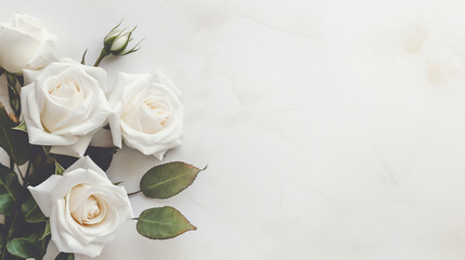 Obraz na płótnie Canvas Bouquet of white roses white background