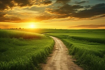 path to field with sunset