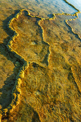 Fractals on the Trafalgar coast in the Meca pipes of Cadiz - Spain.