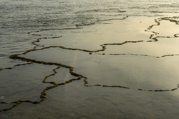 Fractals on the Trafalgar coast in the Meca pipes of Cadiz - Spain.