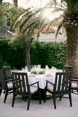 Laid festive table in the garden near the palm tree